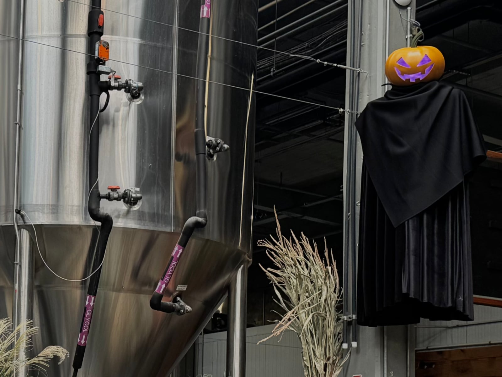 Halloween display hung and lit in the taproom